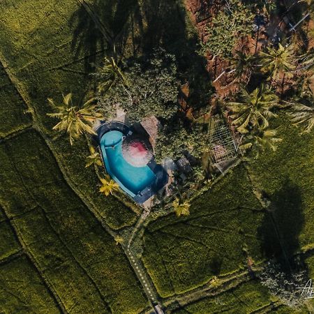 Nelu Resort 锡吉里亚 外观 照片