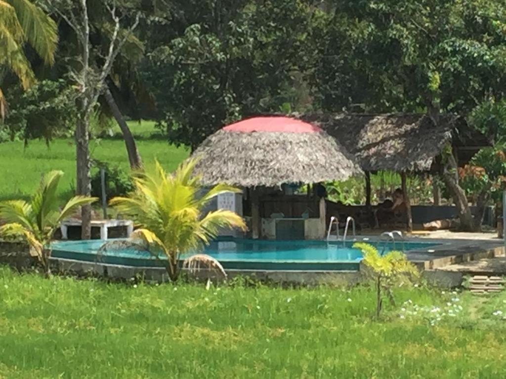 Nelu Resort 锡吉里亚 外观 照片