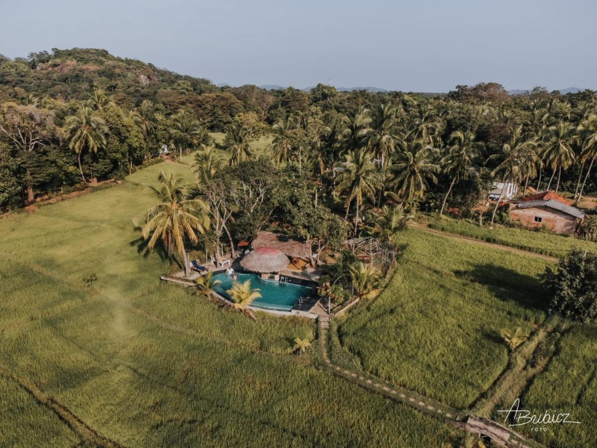 Nelu Resort 锡吉里亚 外观 照片